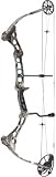 10 rock 2 hw grey rh 2970# - bowtech - 5121970