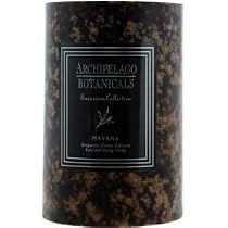 Archipelago Botanicals 4 x 6 Pillar Candle - Havana