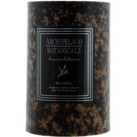 Archipelago Botanicals 4 x 6 Pillar Candle - Havana