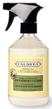 Caldrea Green Tea Patchouli Counter-Top Cleanser, 16 oz.