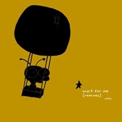 Wait For Me (Paul Kalkbrenner Remix)