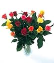18 Classic Mixed Roses