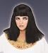 Cleopatra Wig Adult Halloween Costume Accessory [Apparel]