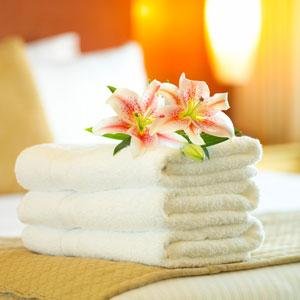 Cotton Spa Towels , 20