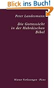 Die Gottessicht