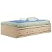 Mate's Bed in Natural Maple - South Shore Furniture - 2713080
