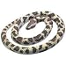 Rubber Rock Python