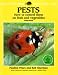 Pests - How to control them on fruit and veg