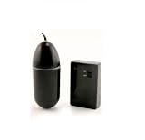 31wxC6aD4uL. SL160  Remote Control Wireless 10 Function Hybrid Bullet Egg (Black)