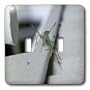 Mirmak Animals - unussual suspect - Light Switch Covers - double toggle switch