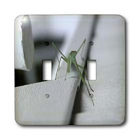 Mirmak Animals - unussual suspect - Light Switch Covers - double toggle switch