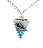 Carolina Panthers Chain Necklace & Pewter Pendant - NFL Football Fan Shop Sports Team Merchandise