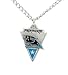 Carolina Panthers Chain Necklace & Pewter Pendant - NFL Football Fan Shop Sports Team Merchandise