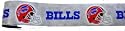 Buffalo Bills Car Trim Magnet