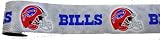 Buffalo Bills Car Trim Magnet