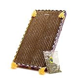 Kitty Hoots Big Mama's Double Wide Scratchy Box