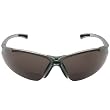 Radians Reading Bifocal Smoke C2 Safety Glasses +2.0