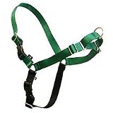 Premier Easy Walk Dog Harness (Misc.)