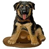 Personalized German Shepherd Puppy Dog Breed Products