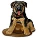 Personalized German Shepherd Puppy Dog Breed Products