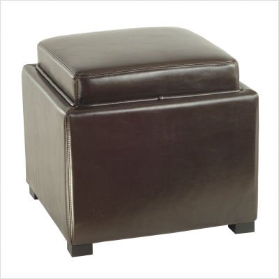 Bobbi Tray Storage Ottoman in Brown