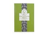 Eucalyptus Mint Large Sachet by Greenleaf