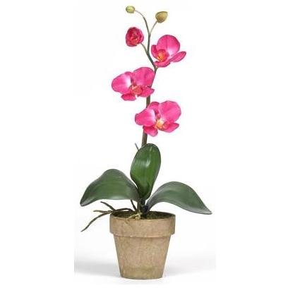 Nearly Natural 4065-BU Potted Phalaenopsis Silk Orchid Plant Beauty