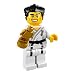 Martial Arts Champ - Collectible Minifigure Series 2