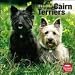 terrier7 - Cairn Terriers 2010 Wall Calendar