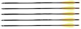 Barnett 20 Crossbow Bolts With Field Point/Fits Compound Crossbows 5PK Md: 16075