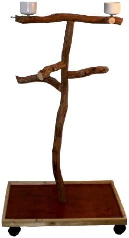 Dragonwood Floor T-Stand 25.5 x 19.5 (Color: Redwood, Size: Large)