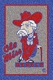 Mississippi ( Ole Miss ) Rebels 4 &acute; x 6 &acute; Team Door Mat - B0001H0KZW