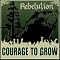 Rebelution Picture 2