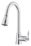 Danze D454510 Chrome Prince Prince Collecti