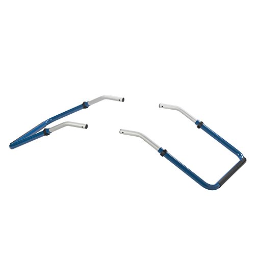 Wenzelite Dolphin Bath Chair Accessory
