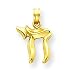 Jewelry : 14k Jewish Chi (Long Life) Pendant