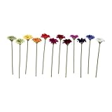 ���i�̏ڍ�