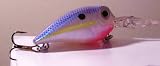 Cotton Cordell Bass Fishing Crankbait