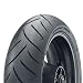 Dunlop Roadsmart Sport Touring Rear Tire