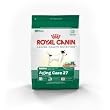 Royal Canin Mini Breed Aging Care Dog (27) (10-lb Bag)