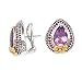 925 Silver, Amethyst & Rhodolite Earrings with 14k Gold Accents (5.20ctw)