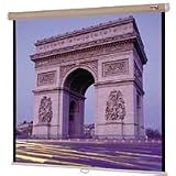 Da-Lite Designer Model B Fabric Case Frost Gray with White Caps 50 x 50 High Power