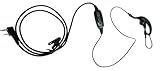 BaoFeng Dual