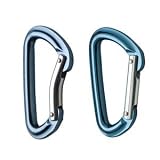 Black Diamond Quicksilver Carabiner