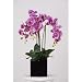Artificial Triple-stem Phalaenopsis Orchid Arrangement Lavender