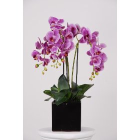 House of Silk Flowers Triple-stem Silk Phalaenopsis Orchid Arrangement , Lavender