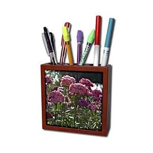 WhiteOak Photography Floral Prints - Beautiful pink Sweet Williams - Tile Pen Holders-5 inch tile pen holder