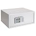 Buddy Products Laptop Safe, Heavy-Duty Steel Construction, 13.875 x 7.875 x 16.875 Inches, Platinum (3217-32)