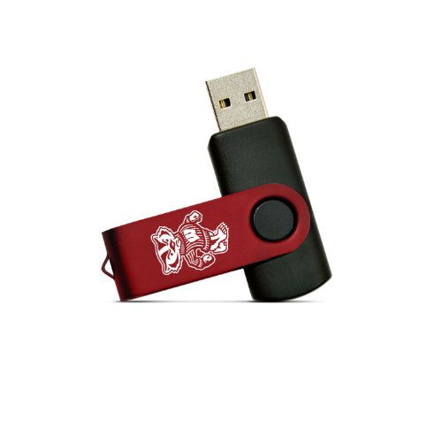 NCAA Wisconsin Badgers 8GB and Lanyard