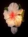 Hummingbird & Hibiscus Nightlight
